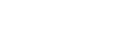 Ground Transportation Services